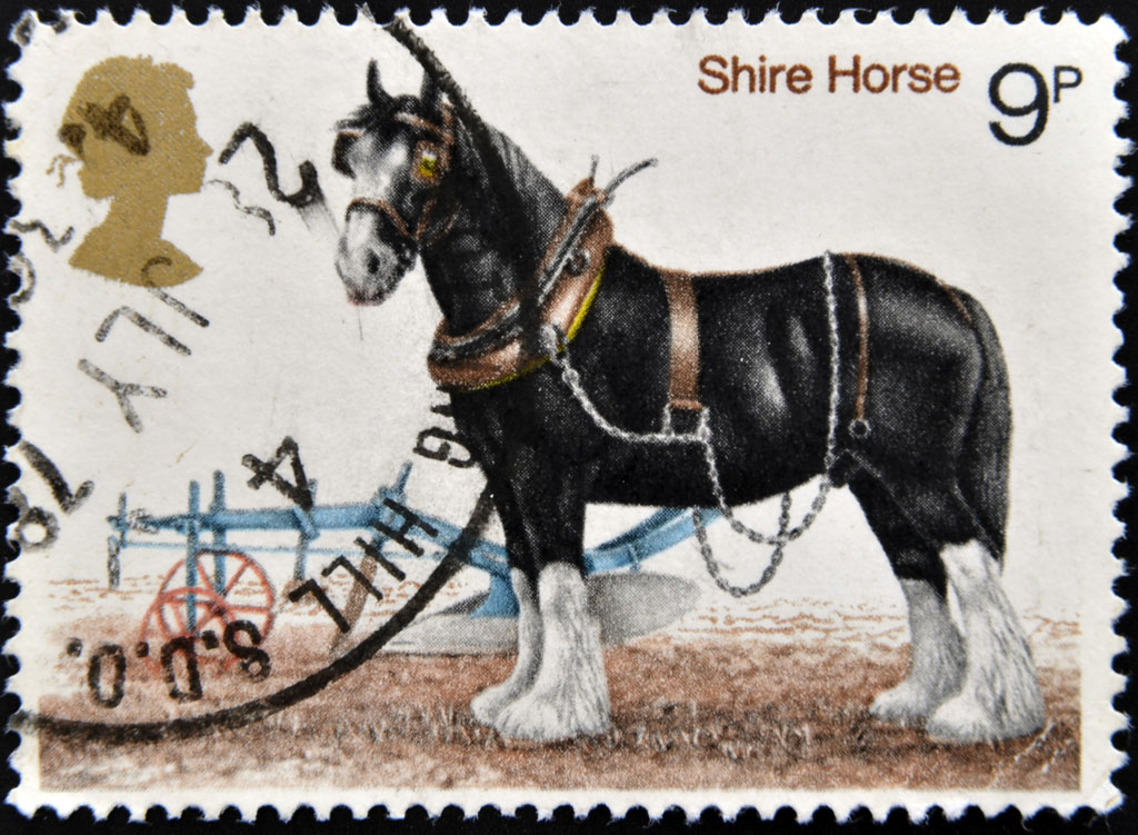 Изображение лошади шайрской породы на почтовой марке