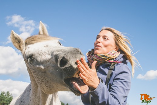 Обучение лошади открывать рот – полезное упражнение для осмотра зубов, лечения и просто веселое времяпровождение